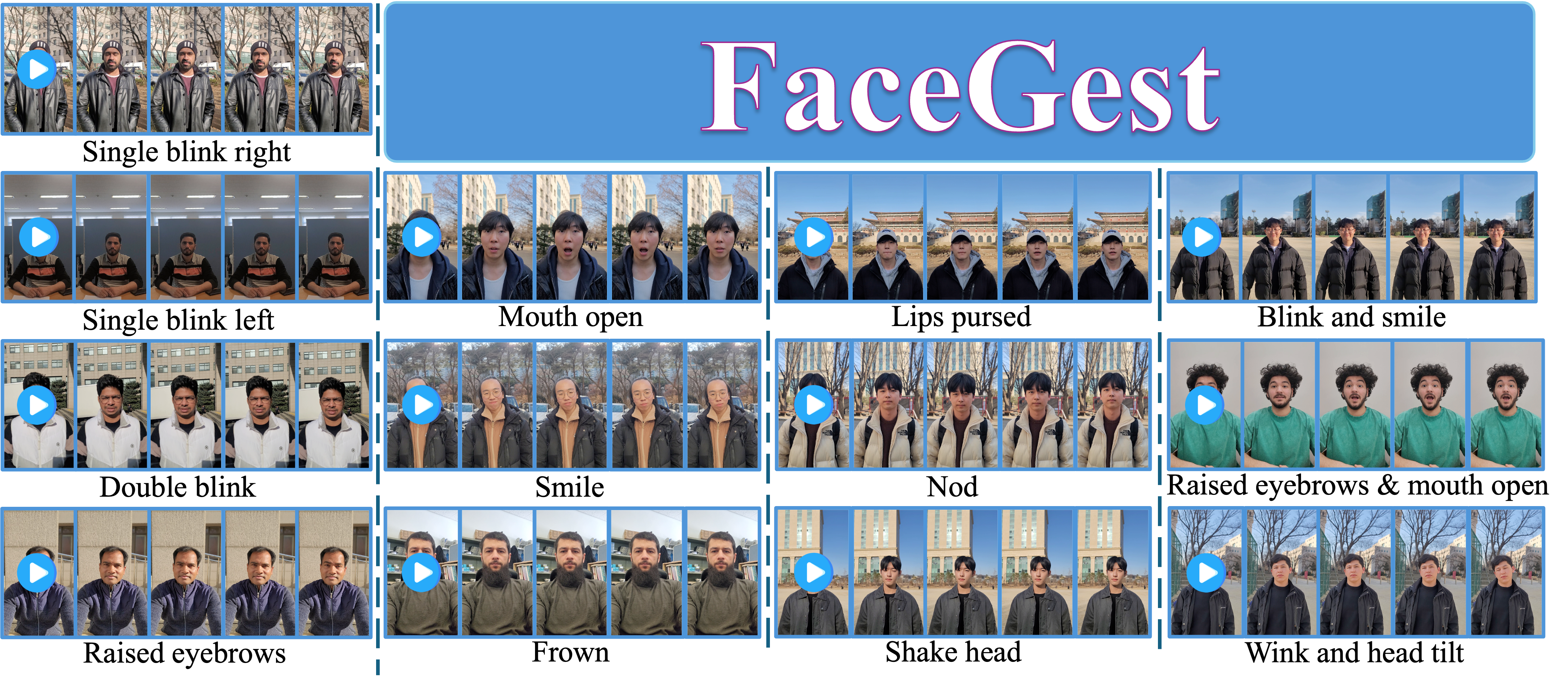 FaceGest Dataset